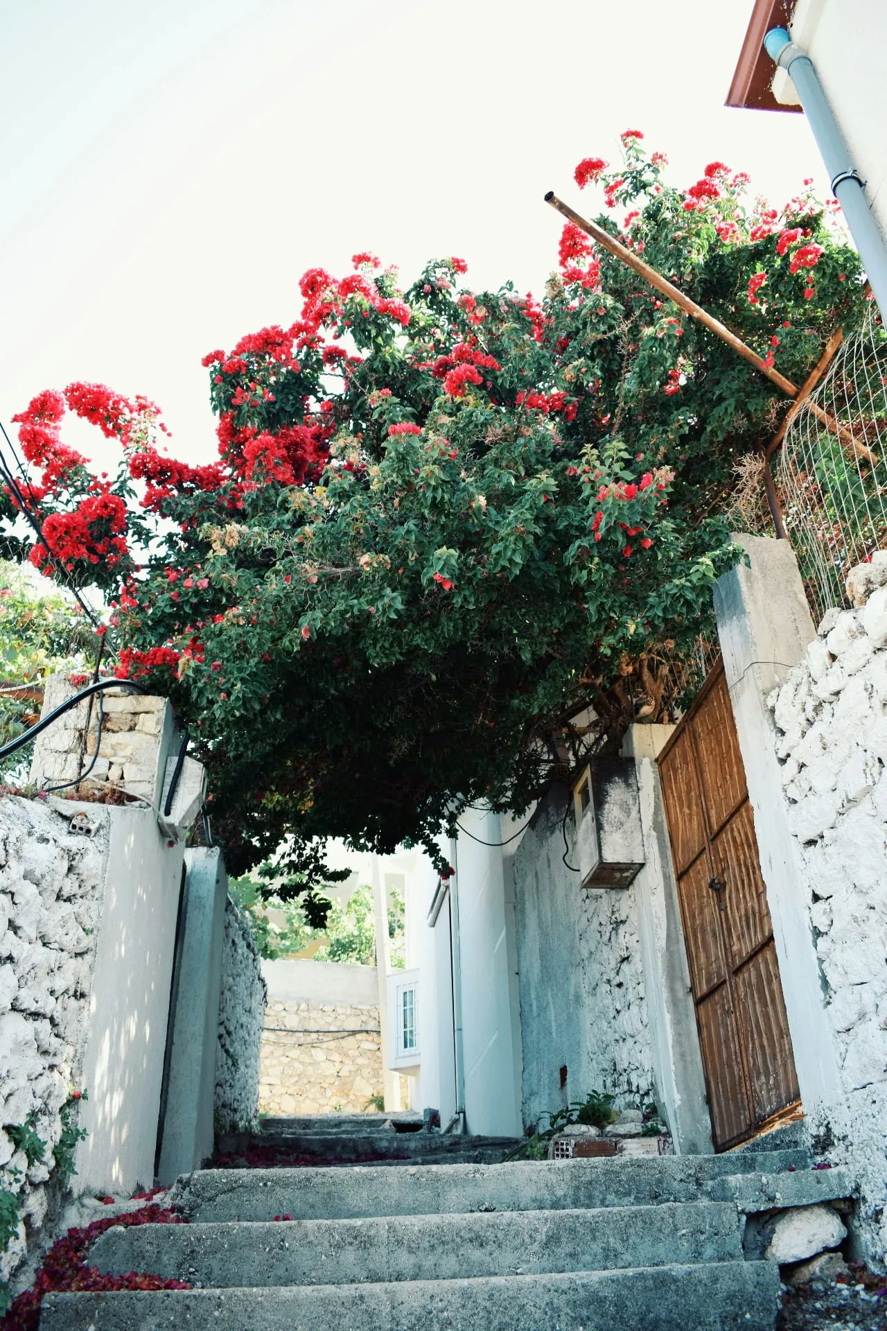Qeparo — Hidden Villages & Authentic Albania